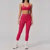 Conjunto de Yoga Seamless de Verano para Mujer, Cuello Halter, Espalda Descubierta, Corte Ajustado, Espalda Bonita, Secado Rápido, Atuendo Deportivo de Fitness para Correr y Yoga 2557