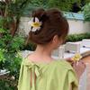Pinza Tiburón para Cabello con Media Cola para Niña Flor de Huevo Grande Temperamento Horquilla Sentido Avanzado Flor Degradada Parte Posterior del Cabello