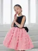 Nuevo Vestido Infantil, Vestido de Princesa para Niña, Vestido de Performance para el Primer Cumpleaños de la Dama de Honor, Elegante Rosa Rosa para Niña