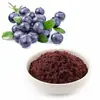Polvo de Baya de Acai, Polvo Instantáneo Concentrado de Baya de Acai, Ingrediente Alimentario Extracto de Baya de Acai, Suministro de Fuente Snout