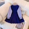 Vestido de manga larga para niña otoño falda plisada para niños vestido de princesita falda para niños estilo universitario traje falso de dos piezas