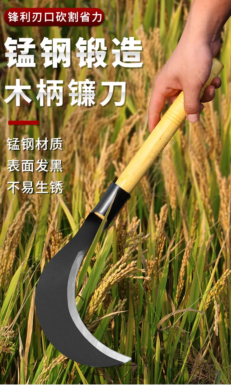镰刀 (1).jpg