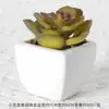 Suculentas Simuladas Personalizadas Cerámica Bonsái Plantas Verdes Escandinavas Adornos Hogar Interior Sala de Estar Flores Falsas Suculentas Plantas en Maceta