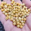 Jade Dragón Amarillo cuentas redondas Cuentas sueltas de Jade amarillo aceite de pollo 6mm cuentas pulsera DIY collar accesorios de joyería cuentas al por mayor