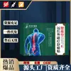 Produto Popular de Li Shizhen em Estoque: Adesivos de Terapia Magnética de Infravermelho Distante Tipo Lombar para Alívio da Dor, 20 Adesivos/Caixa, para Dor nas Costas e Dor nas Pernas, Novo Produto para Dropshipping