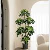 Planta de Simulación Madera Pie de Pato de Pie en Maceta Planta Verde Biónica Adornos Sala de Estar Lado del Sofá Decoración del Hogar Bonsái Árbol Falso