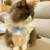 Collar de Encaje para Mascotas, Lindo Collar Decorativo para Gatos y Perros, Accesorios de Pajarita de Encaje para Perros Pequeños y Medianos, Popular en Línea