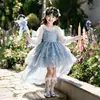 Vestido de menina, vestido de tule, vestido de princesa, vestido infantil Frozen Elsa Lolita, fantasia de apresentação