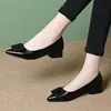 Zapatos de tacón grueso bajos populares para mujer, colección de otoño 2026, punta fina, hebilla cuadrada, piel suave, suela blanda, tacón bajo, zapatos versátiles y cómodos para madres