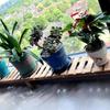Pé da mesa alarga ao longo da altura da mesa e alarga o chão personalizado madeira maciça peitoril de janela vaso de flores suporte de flores anticorrosão estreito sol