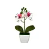 Mini 3 orquídeas artificiales Phalaenopsis en macetas aterciopeladas, suministro de exportación directa, flores artificiales de tacto realista, bonsái, accesorios para fotografía