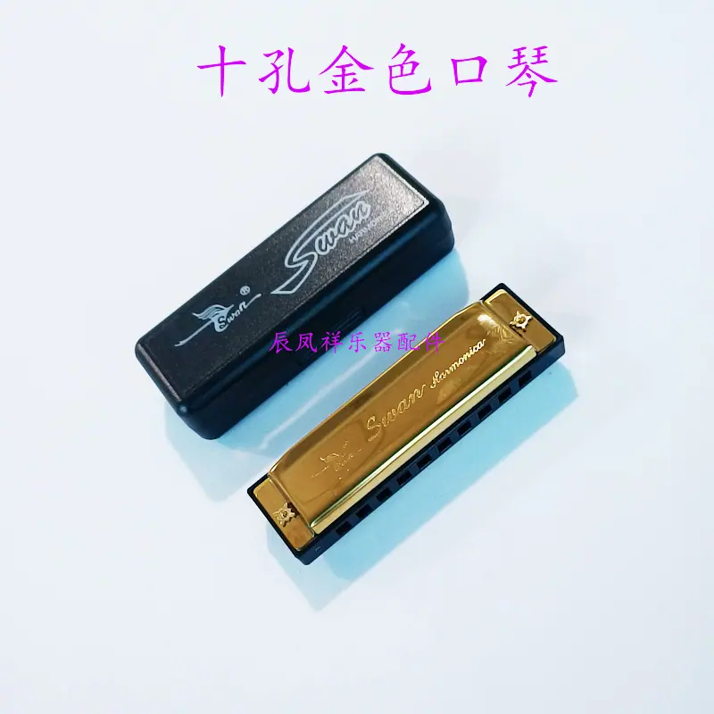 10孔金色