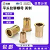 Porca rebitável de aço carbono zincado com revestimento colorido, porca rebitável de cabeça chata padrão britânico 6# 8# 10# -20/24/32 rebitador de cabeça chata