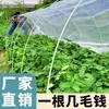 Haste de Fibra de Vidro Pequeno Arco Suporte para Estufa Suporte para Pepino Haste para Trepadeira Haste para Estufa Isolada Haste de Suporte para Estrutura de Horta