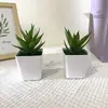 Novo Vaso Quadrado Aloe Vera Artificial Grama Espada Suculenta Pequeno Bonsai Plantas Verdes Artificiais Enfeites Decorações de Mesa para Casa e Escritório