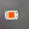Ac220V Fuente de Luz de Alto Voltaje Sin Controlador Perlas de Lámpara Integradas 20W30W50W Perlas de Lámpara Led de Alta Eficiencia Cob de Espectro Completo