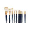Conjunto Magnético de Pincéis de Maquiagem de 12 Peças, Cerdas Macias de Cangzhou, Adequado para Iniciantes, Pronto para Envio, Cosméticos
