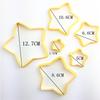 Amor Flor de Ciruelo Plástico Galleta Prensa Molde Estrella de Cinco Puntas Serie Navideña Molde de Corte Doblar Azúcar Pastel Molde DIY