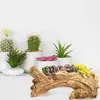 Maceta para Suculentas de Madera Flotante Artificial, Escultura Rústica de Tocón de Árbol de Resina, Maceta para Cactus para Hierbas, Fresas, Plantas Pequeñas, Color Natural, Agujero de Drenaje, 37 cm Largo x 11 cm Ancho x 13 cm Alto