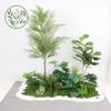 Paisajismo de Plantas Verdes Paisajismo de Balcones Decoración de Plantas Artificiales para Interiores y Exteriores Planta Viajera Plátano Espalda de Tortuga Planta Debajo de las Escaleras Paisajismo