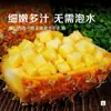 Guan Town Hainan Piña Diamante Dorado 2.5kg Fruta Fresca Estacional No. 17 Envío Gratis Fruta Individual Aproximadamente 0.5kg Fresca