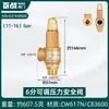 Calentador de Agua Eléctrico Haier Midea Tubería de Agua Válvula de Alivio de Presión Automática Válvula de Seguridad Caldera Tanque de Gas Compresor de Aire Vapor de Escape