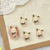 Accesorios para Uñas con Dibujos Animados de Gatos Estampado de Leopardo, Diamantes de Resina Transparentes 3D de Osos y Cachorros, Accesorios para Decoración de Uñas DIY
