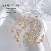 Champagne Transparente Marquise Zircón Super Brillante Joyería para Uñas Transparente Fondo Puntiagudo Forma de Gota de Agua con Alas de Mariposa Diamante para Uñas Joyería al por Mayor