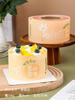 Borda Colorida de Bolo de Aniversário Mousse Estourável de Grau Alimentício Borda Dura Atacado Plástico Decorativo Embalagem de Panificação Borda