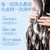 Set Personalizado de Champú Fijador para el Cabello, Gel de Ducha y Acondicionador con Fragancia Duradera y Extractos Vegetales, Productos de Cuidado OEM desde la Fábrica de Origen