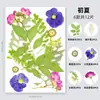 Marcapáginas de especímenes de plantas de hoja real, Pintura al pastel, Paquete de materiales DIY, Marco de fotos, Pintura de collage hecha a mano, Flor seca, Flor en relieve