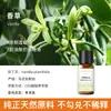 Vela de Aromaterapia para Plantas Transfronteriza Aceite Esencial Aceite Único Soluble en Aceite Jabón Artesanal DIY Jabón en Frío Bálsamo Vela Aceite Esencial de Aromaterapia