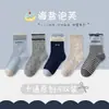 2026 Nuevos Calcetines de Dibujos Animados Otoño-Invierno Lindos para Niñas, Calcetines sin Costuras de Media Pantorrilla, Estilo Coreano Versátiles INS Calcetines para Bebé al por Mayor