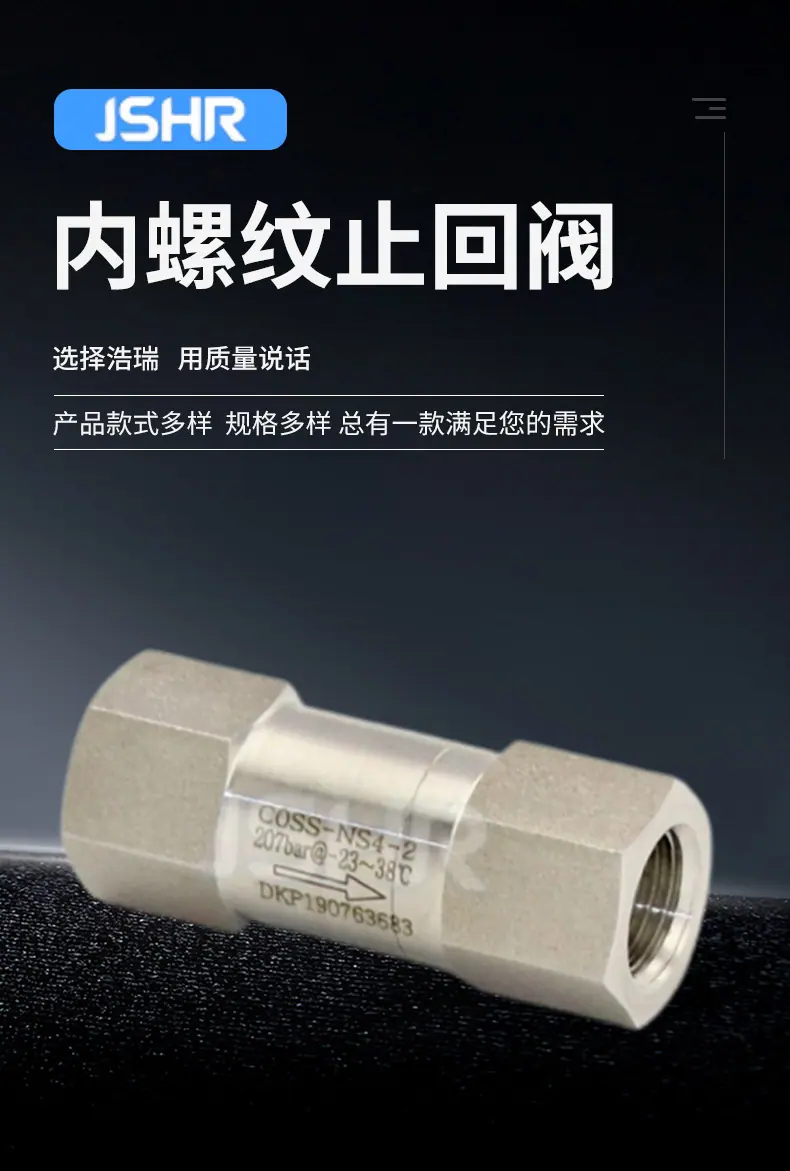 多规格止回阀详情_02.jpg