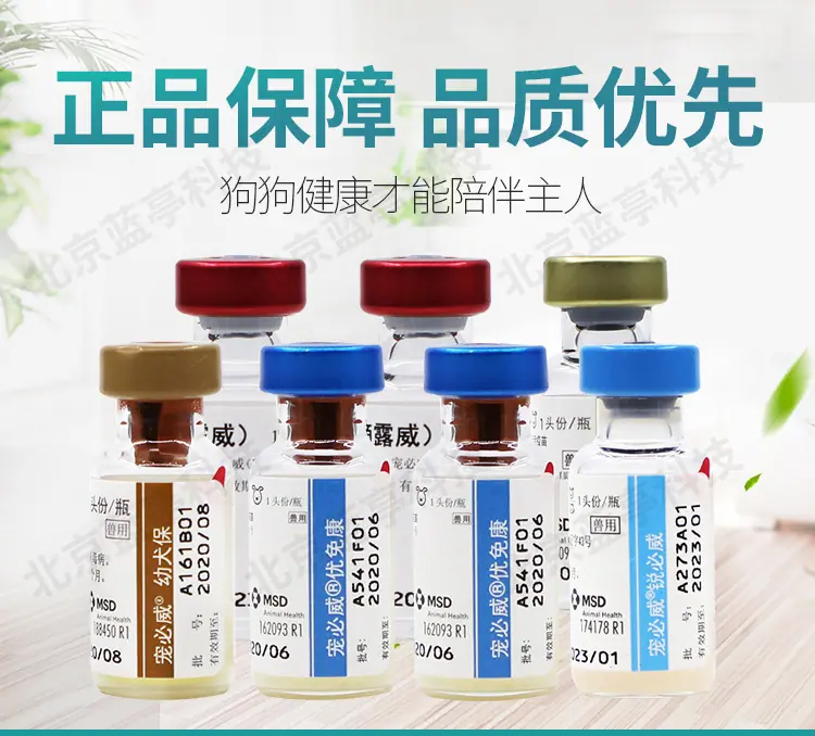 多格多英特威水印_01.jpg