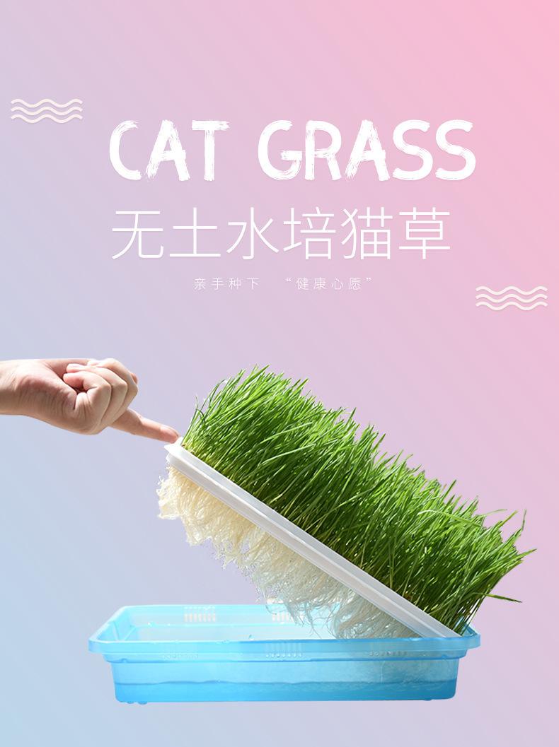 详情-11.jpg