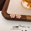 Brincos de Tarraxa Flor de Gotejamento de Óleo Simples Retrô Prateados, Elegantes e Modernos, Versáteis para o Dia a Dia, Luxo Leve, Brincos de Alta Qualidade