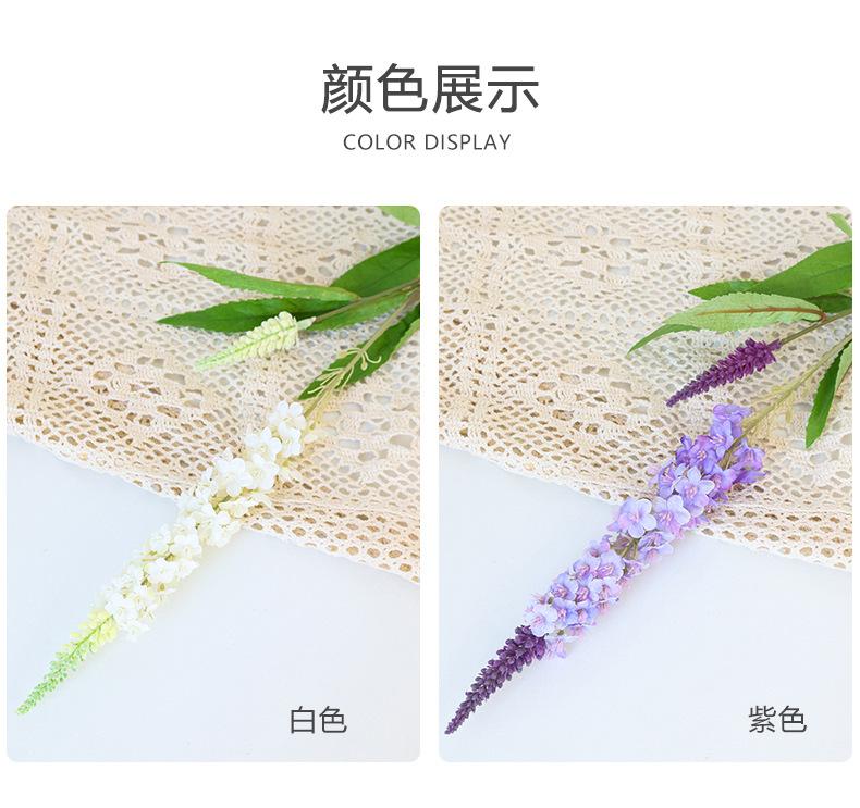 梵思单枝薰衣草_06.jpg