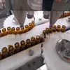 Máquina Llenadora de Polvo de 3g 1g Máquina Automática Llenadora de Polvo Hemostático Máquina Llenadora y Tapadora de Polvo para Medicina China en Frasco
