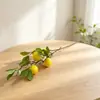 Bestseller transfronterizo: 5 limones artificiales para decoración de mesa de sala de estar en casa, frutas falsas para fotografía y accesorios de plantas verdes
