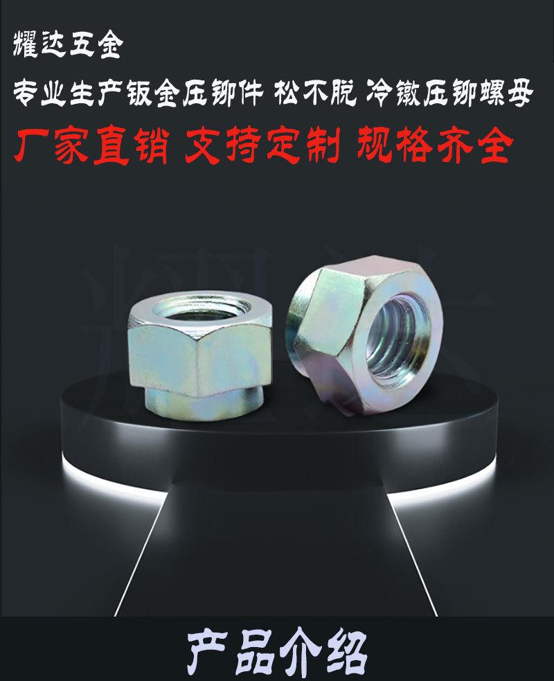 NZS涨铆螺母1_01.jpg