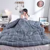 Colcha de Invierno Gruesa, Amigable con la Piel, Cepillada, para las Cuatro Estaciones, Ropa de Cama Cálida, Individual, Doble, Colcha de Algodón, Suministro de Comercio Exterior