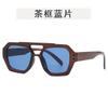 Óculos de Sol de Cor Irregular com Lente Dupla Moda Feminina Óculos Personalizados Transfronteiriços Óculos Retro Street Style de Celebridade da Internet Tendência