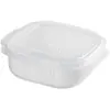 Caixa para Conservar Alimentos Frescos, Caixa Selada para Armazenamento de Arroz, Armazenamento na Geladeira, Segura para Congelador, Caixa para Refeição no Micro-ondas, Caixa Bento Portionada de Grau Alimentício