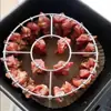 Estante de Brochetas de Acero Inoxidable para Freidora de Aire, Parrilla Colgante Redonda Vertical para 24 Brochetas, Venta al por Mayor desde el Fabricante