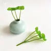 3 Piezas de Hierba del Dinero con Hojas de Moneda de Cobre, Plantas Verdes Pequeñas en Maceta para Decoración de Escritorio