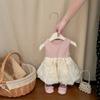Conjunto Artístico Estilo Coreano para Bebés Niñas, Temporada Primavera y Otoño, Cardigan Casual Versátil de Moda, Vestido Chaleco Elegante para Bebés, Moderno