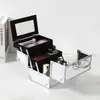 Caja de Maquillaje, Caja de Almacenamiento Portátil de Aleación de Aluminio, Gran Capacidad, con Espejo, Caja de Herramientas Portátil Profesional Multicapa para Maquilladores