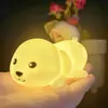 Luz de Noite de Desenho Animado Famosa na Internet, Presente para o Festival do Meio Outono, Brinquedo Brilhante Fofo e Adorável, Venda por Atacado de Pequenos Produtos de Barraca Popular de Feira Noturna