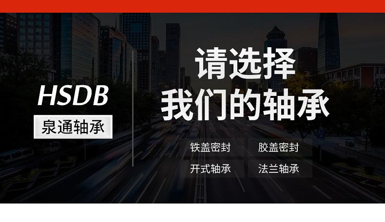 微型轴承(1)_09.jpg